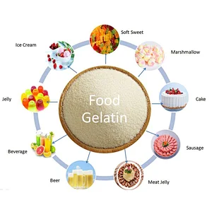 Wholesale Edible Food Grade Bovine Gelatin Powder for Food Industry