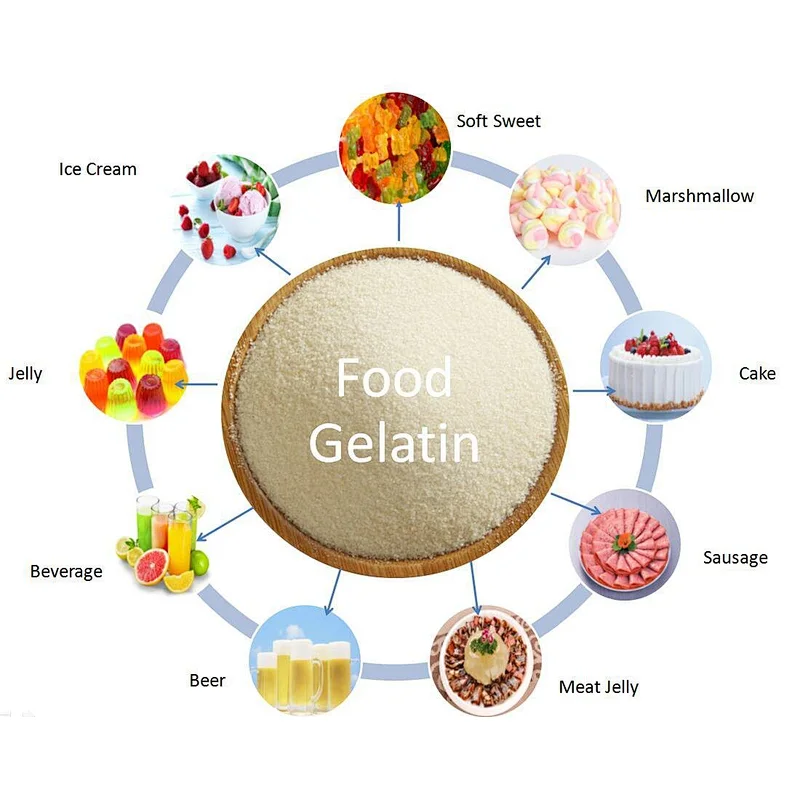 Wholesale Edible Food Grade Bovine Gelatin Powder for Food Industry